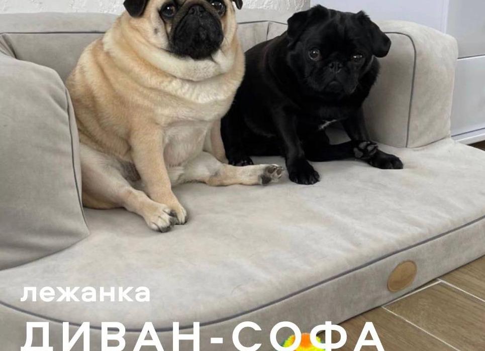 Как самому сшить лежанку для любимого питомца